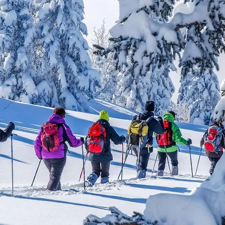 Chalet Les Niverolles Paradiski